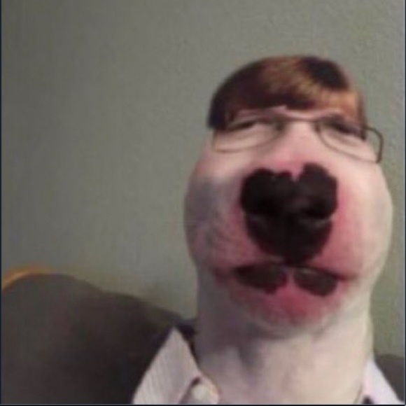 Meet your Posher, Lili - Picture 1 of 1